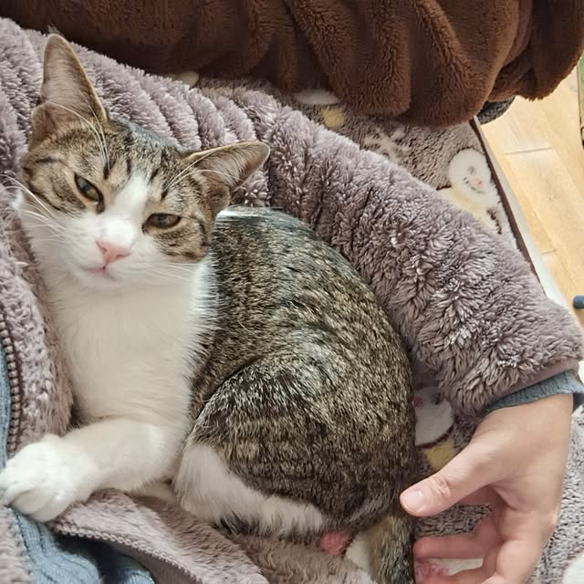 akimameさんの実例写真