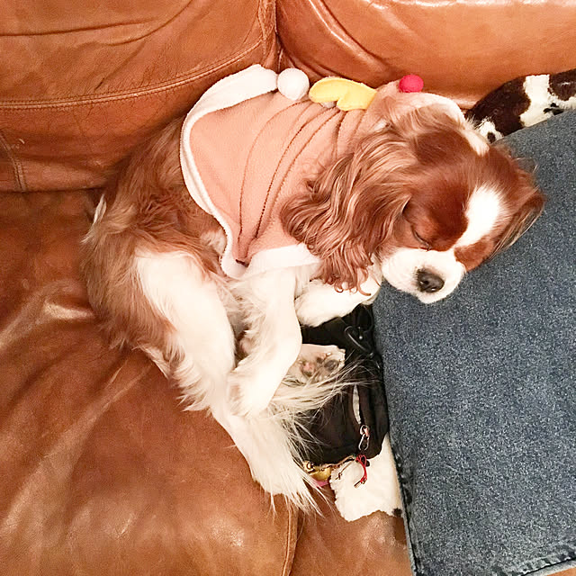 miyaさんの実例写真