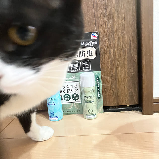 nekoさんの実例写真