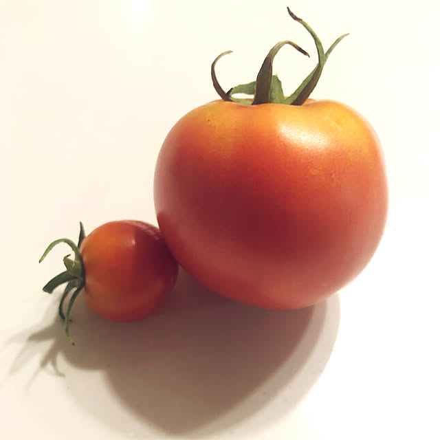 tomoさんの部屋