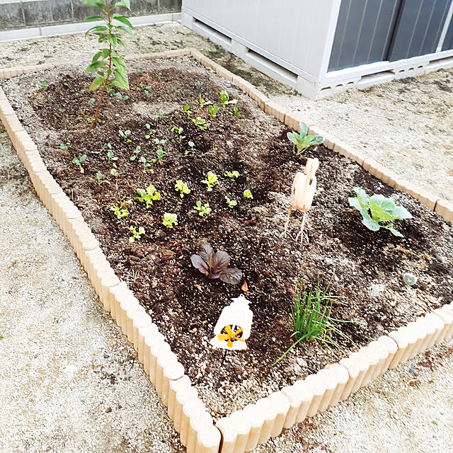 m.coccoさんの実例写真