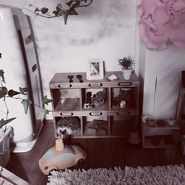 saokoさんの実例写真