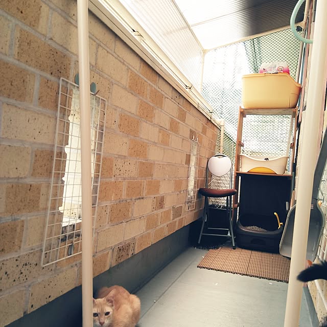 okannさんの実例写真