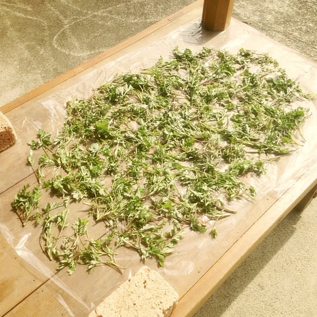 petaさんの実例写真