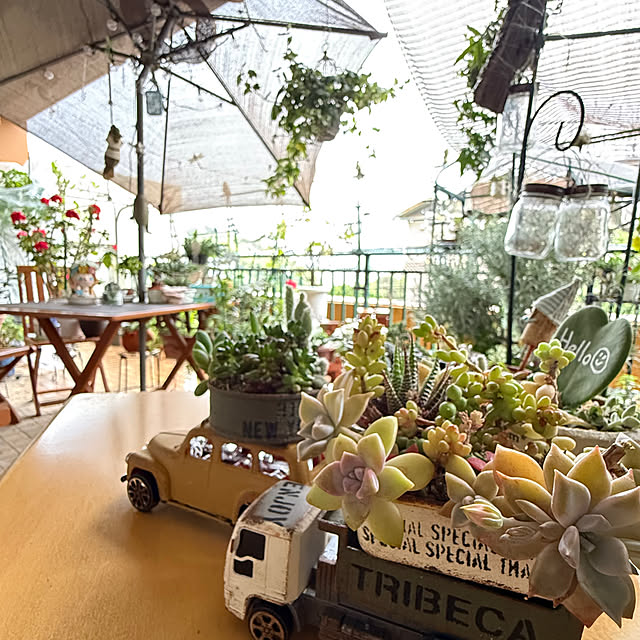 Aqettyさんの部屋