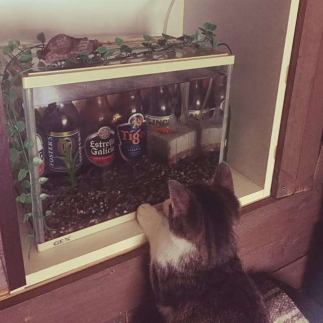 ka_achanさんの実例写真