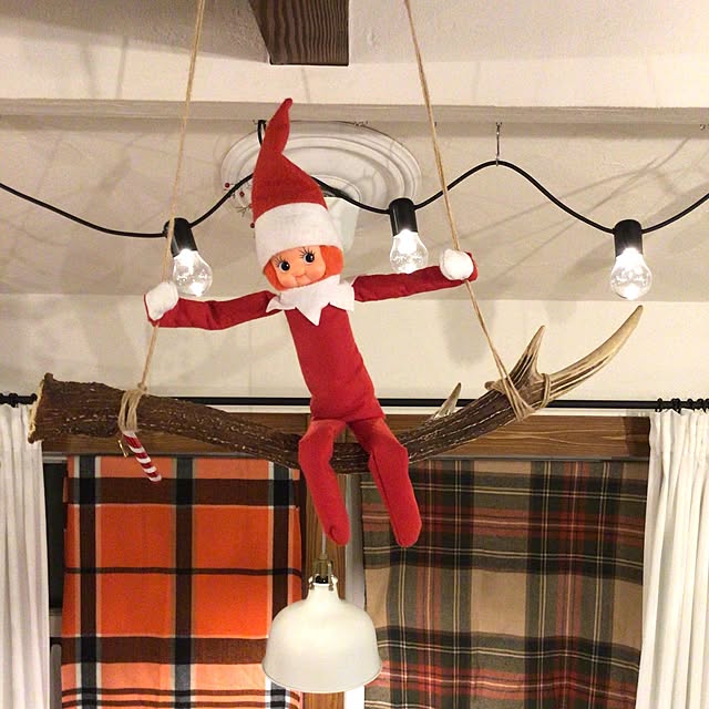 yymsさんの実例写真
