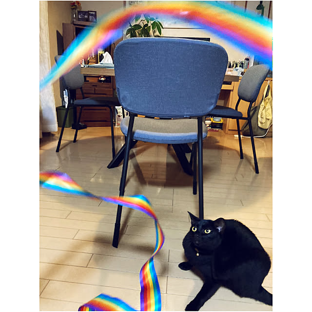 suemonta14さんの実例写真