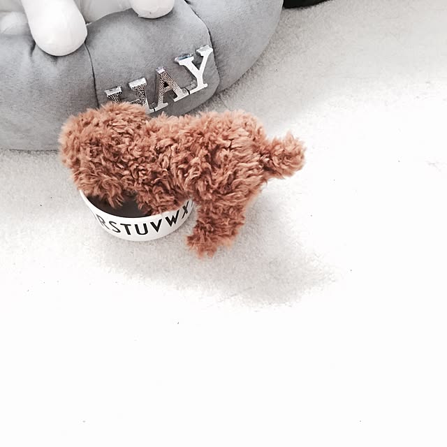 chiiiii0808さんの実例写真