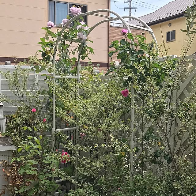 hideさんの実例写真