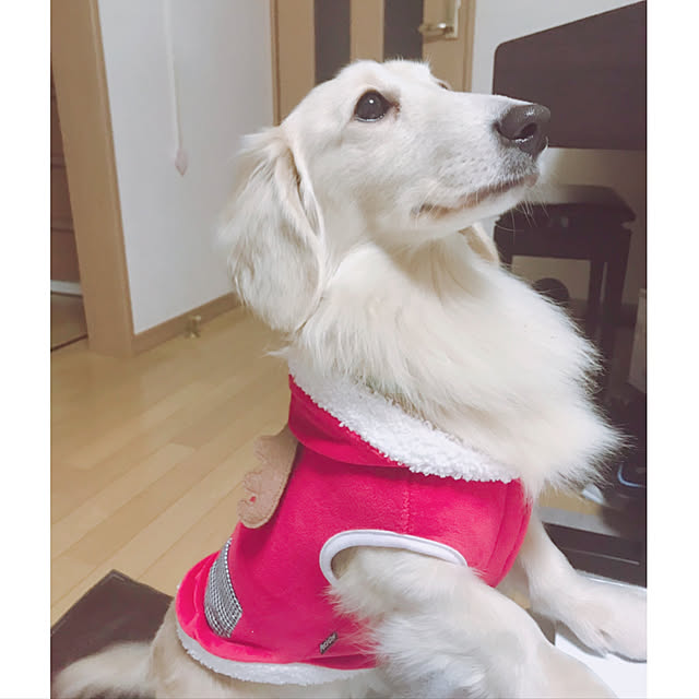 tmさんの実例写真