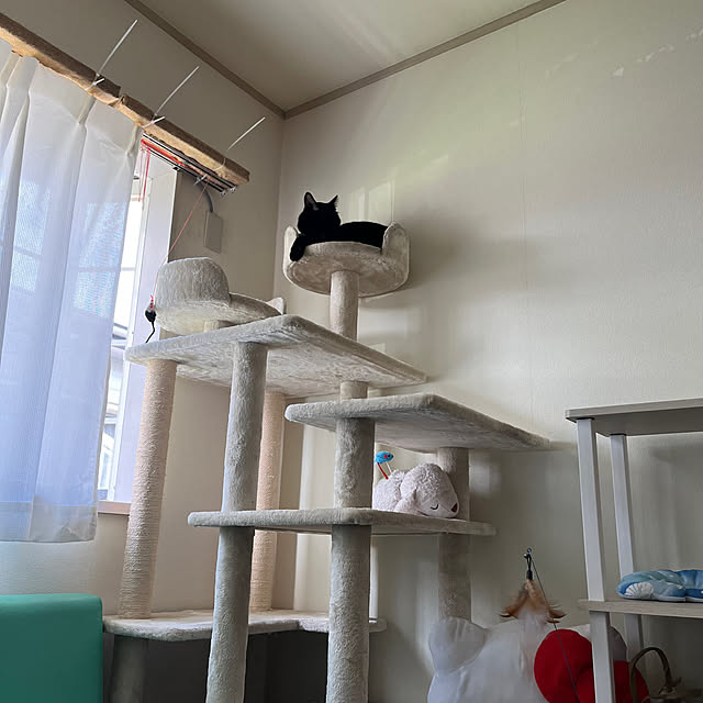 nyaさんの実例写真