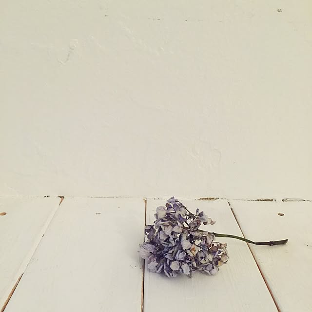 Rinaさんの実例写真