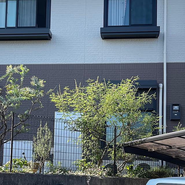 kikiさんの部屋