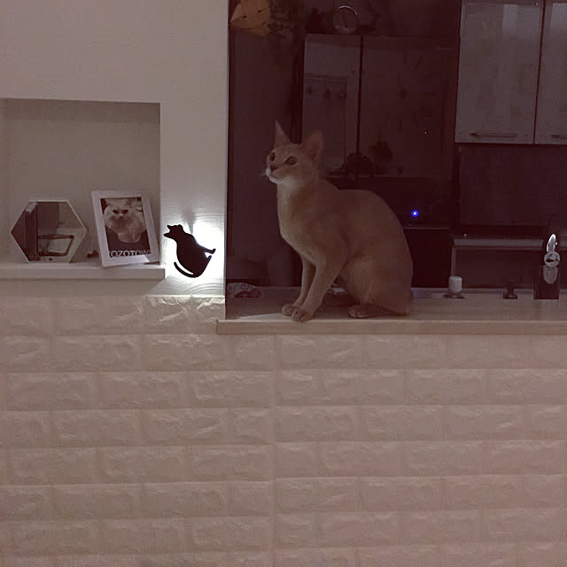 megu.catさんの実例写真