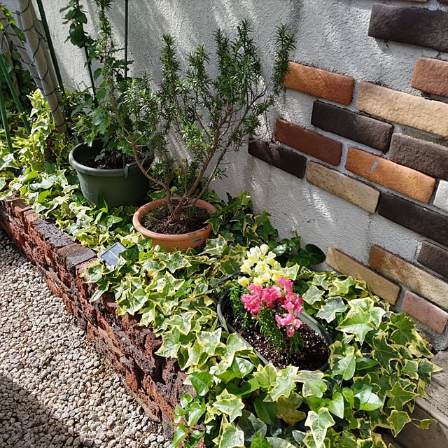 soccerkozouさんの実例写真