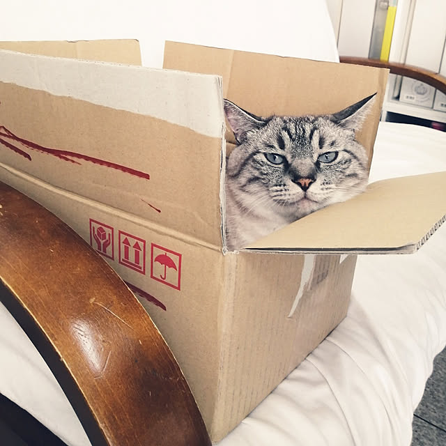 Manaさんの実例写真