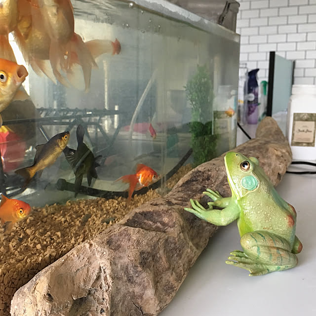 mamizoさんの実例写真