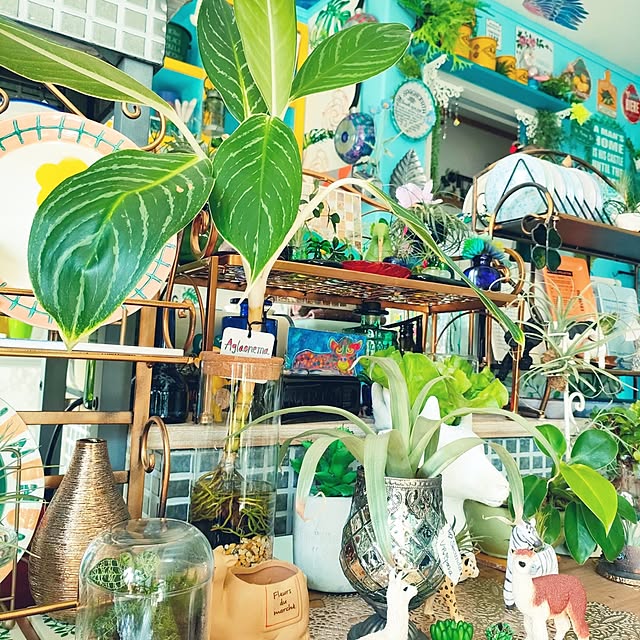 nacchanさんの部屋