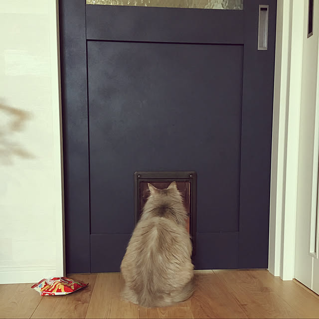Karinさんの実例写真