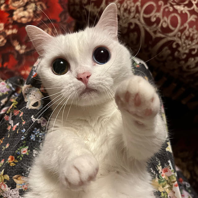 AYUKOさんの実例写真