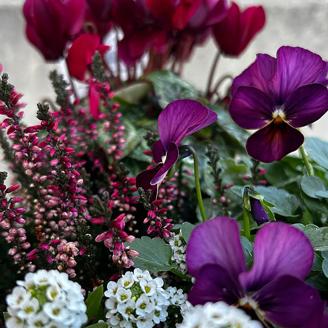 skhrさんの実例写真