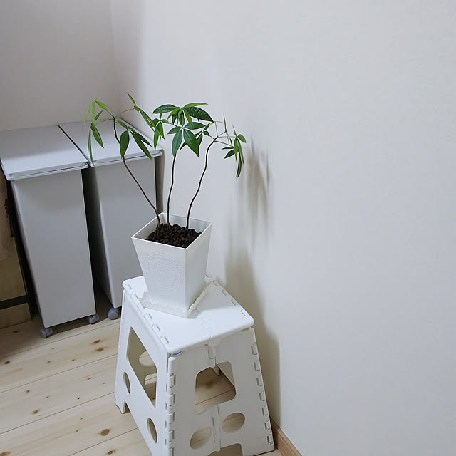 キッチンのインテリア実例 - 2018-04-15 18:29:56