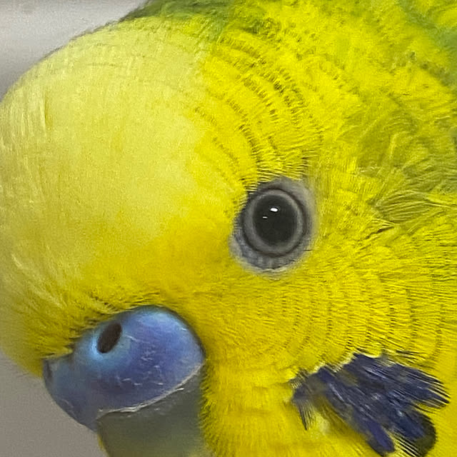 ohanaさんの部屋