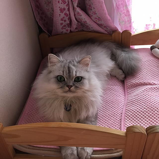 kumaさんの実例写真