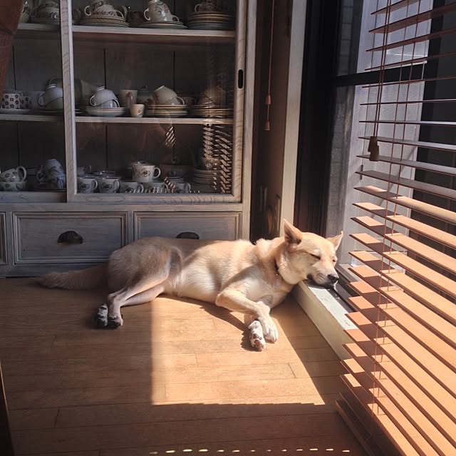 leonaさんの実例写真