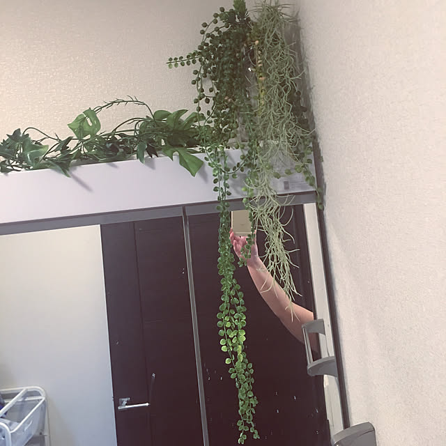 S.Rmamaさんの実例写真