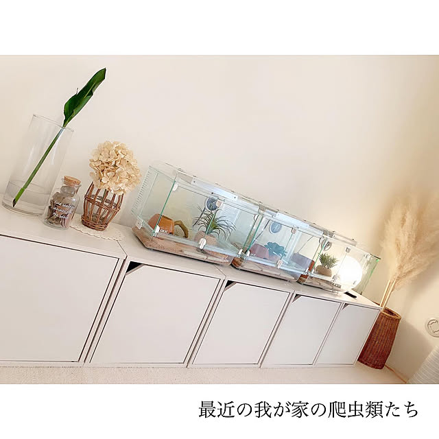 愛用品→楽天roomに載せています/子供のいる暮らし/収納アイデア/ニトリ/無印良品...などのインテリア実例 - 2020-06-30 11:14:39