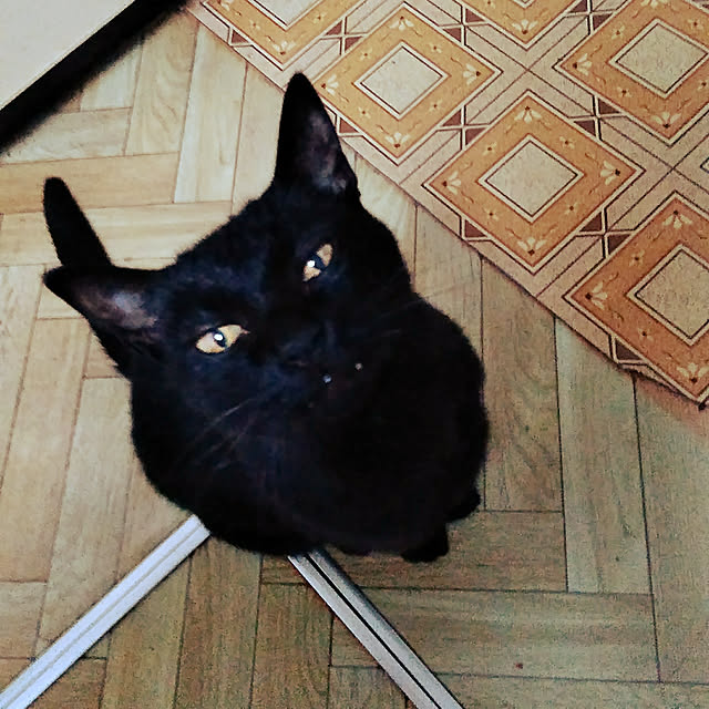 hiroさんの実例写真