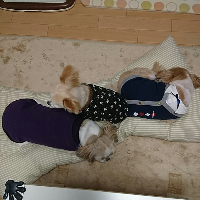 ronさんの実例写真
