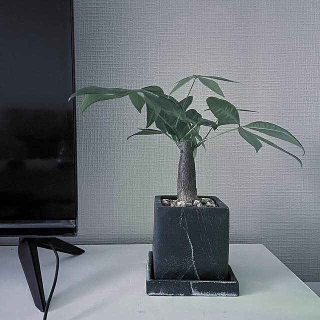 mintさんの実例写真