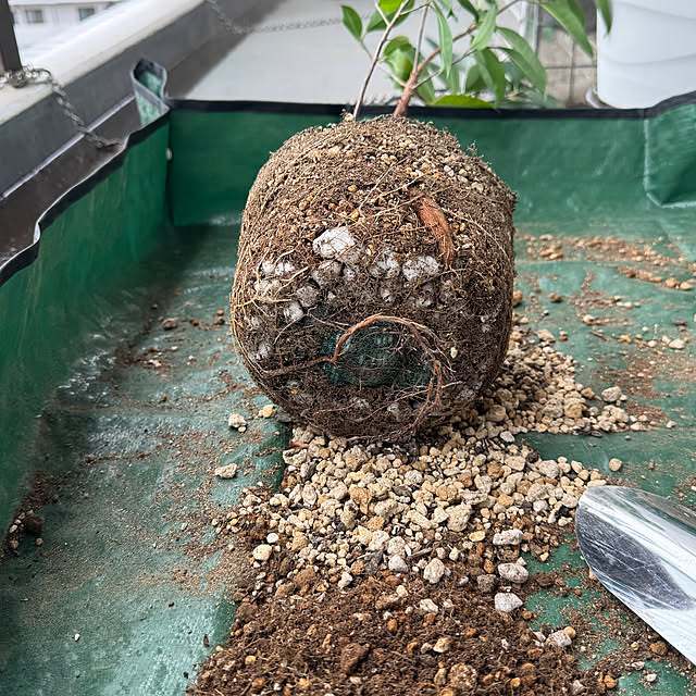 dadarikaさんの部屋