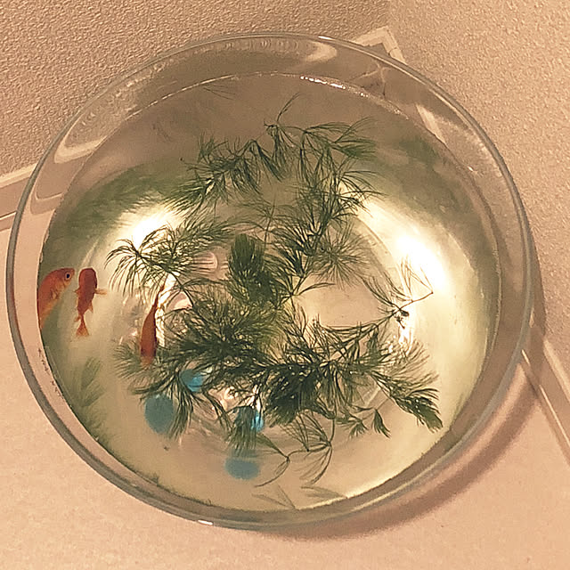 nickさんの実例写真
