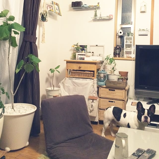 eleさんの実例写真