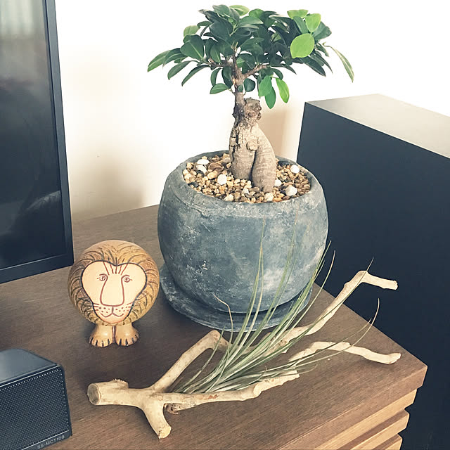 sakineko528さんの実例写真