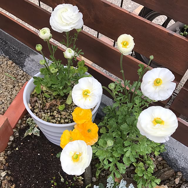 akakou88629さんの実例写真