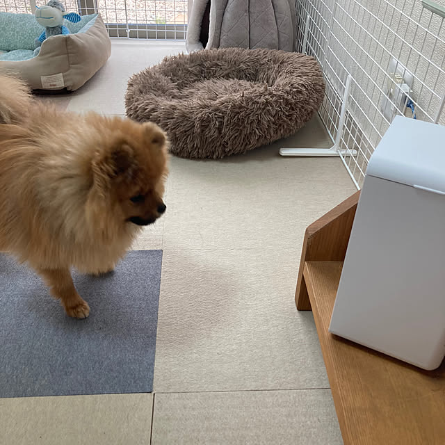 avovo7さんの部屋