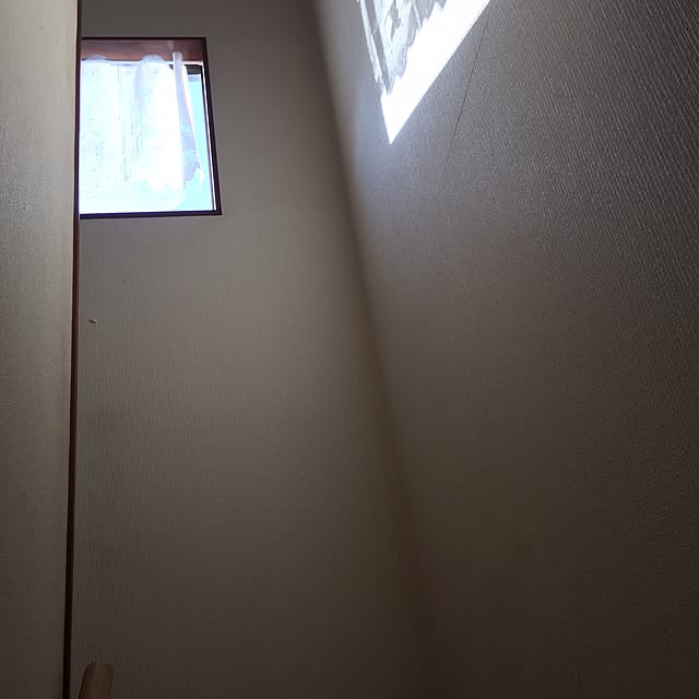 otukaresanさんの実例写真