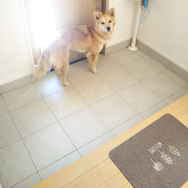 kaoriさんの実例写真