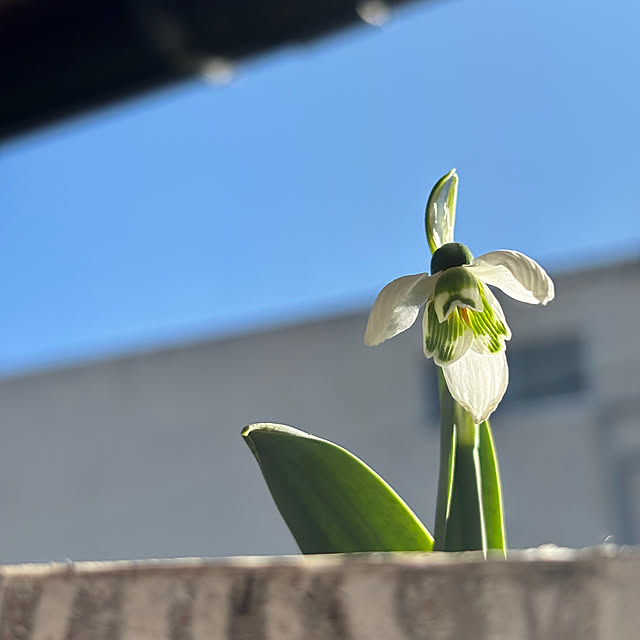 kyoko1124koさんの部屋