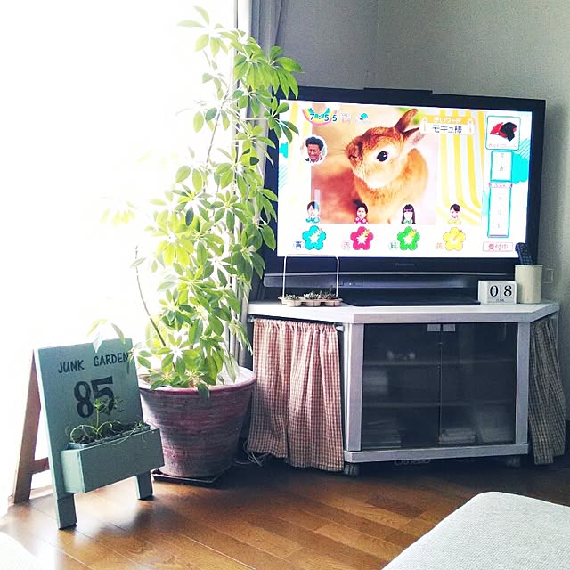 hiderinさんの実例写真