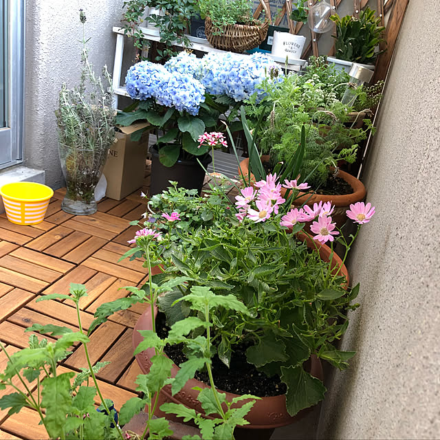 megumiさんの実例写真