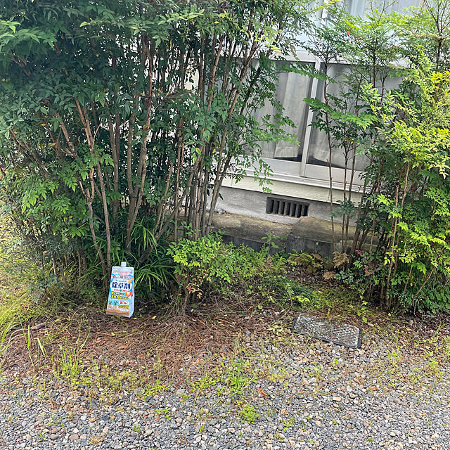burubonさんの部屋