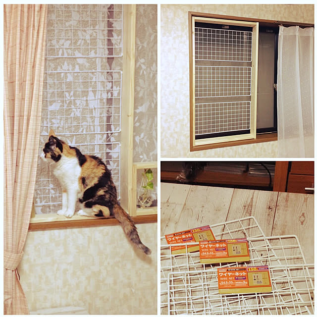 rin.ran.takeakariさんの実例写真