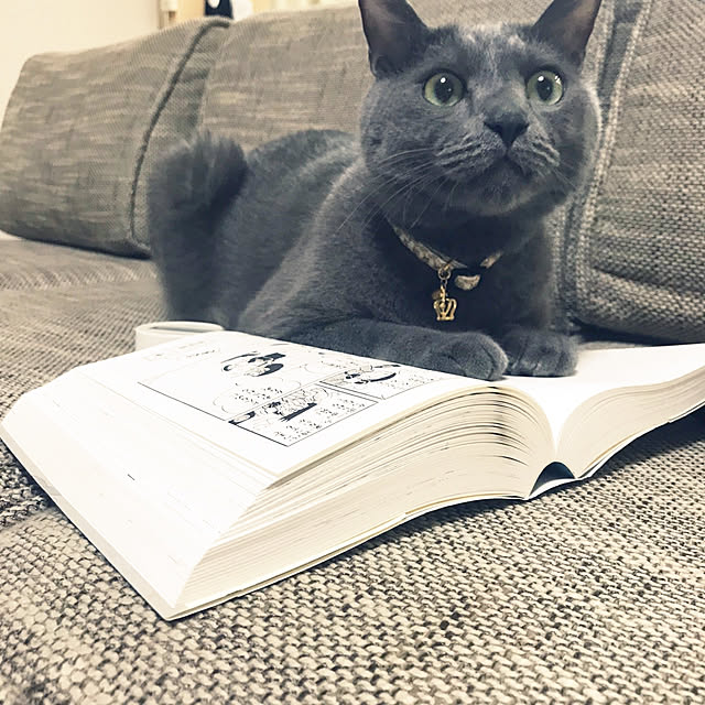 guriさんの実例写真