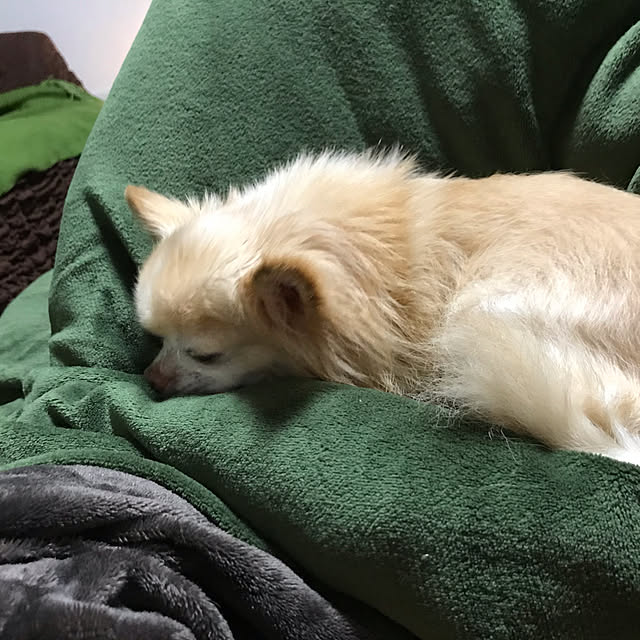 MIUさんの実例写真
